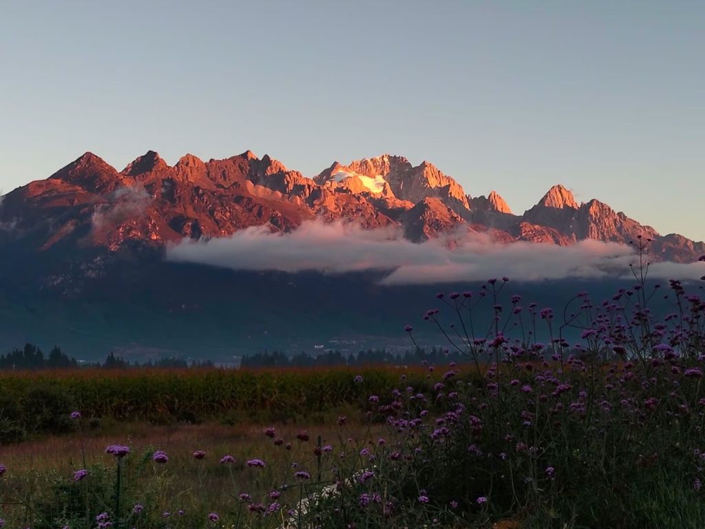 OPPO K14x-এ 50MP প্রাইমারি ক্যামেরা Photo